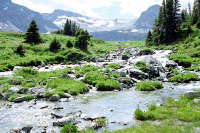 Mountain stream