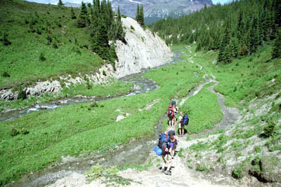 Tributary of Jeffery Creek