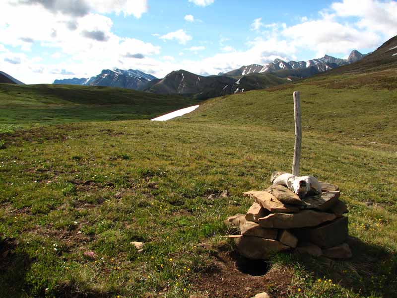 Southesk Pass             