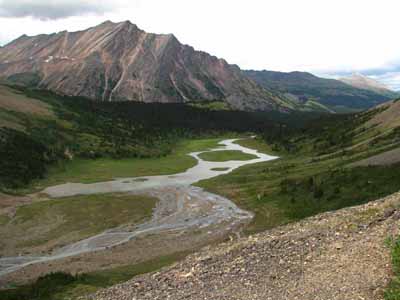 Upper Brazeau Valley      