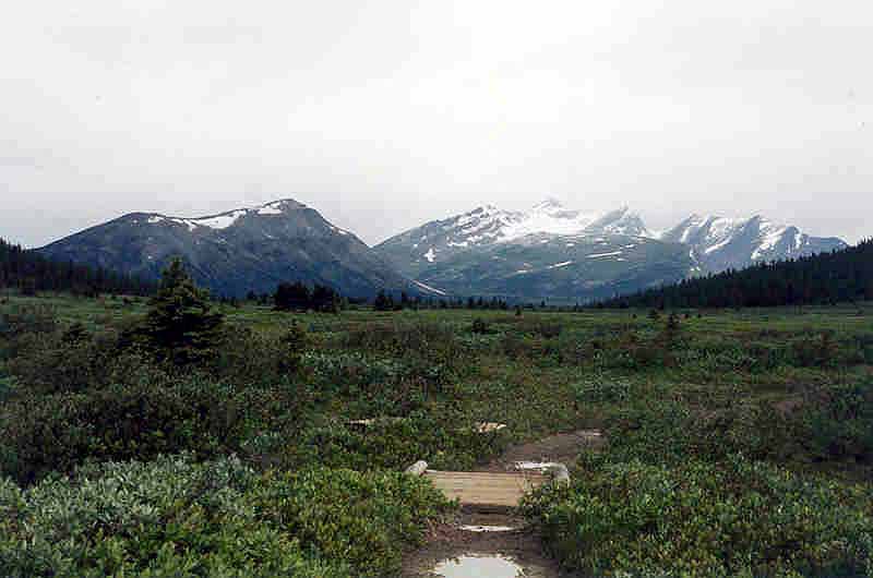 Maccarib Meadows, Tonquin Hill, and Caniche Peak