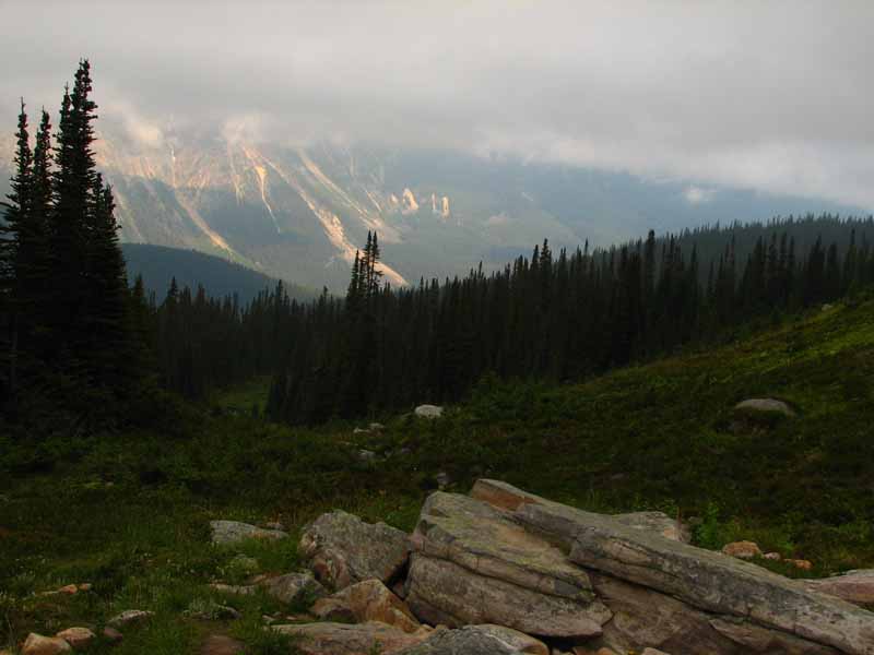 Trident Range from Cavell Meadows Trail