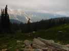 Trident Range from Cavell Meadows Trail 