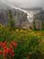 Angel Glacier from Cavell Meadows