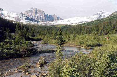 Portal Creek and Oldhorn Mountain