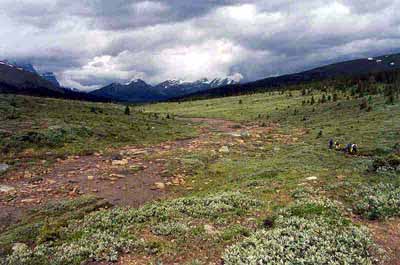 Descent along Maccarib Creek