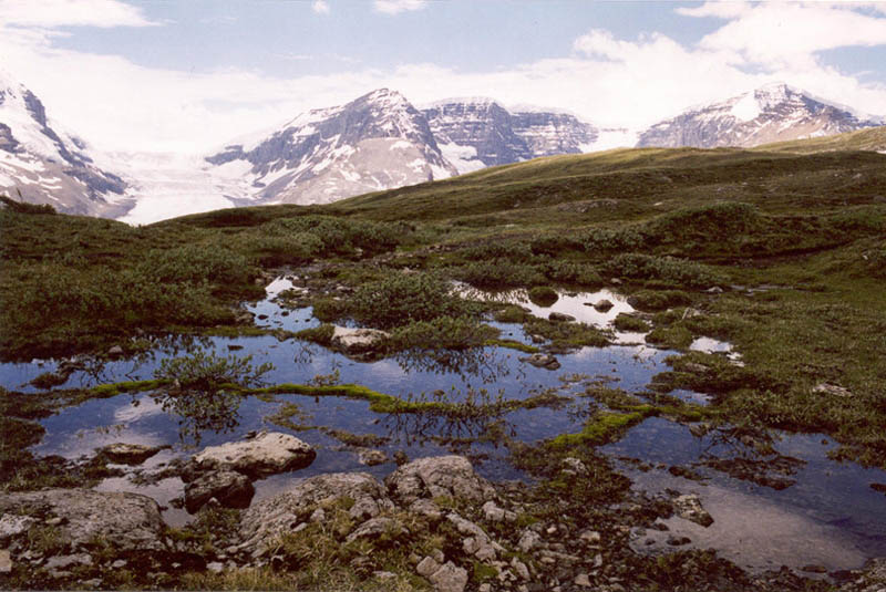 Pond, Meadow, Ice, Rock, Sky