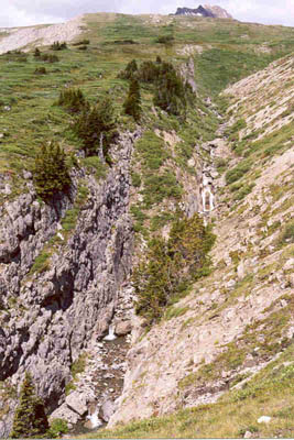 Wilcox Creek Canyon