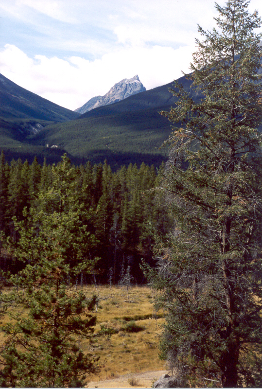 Peveril Peak