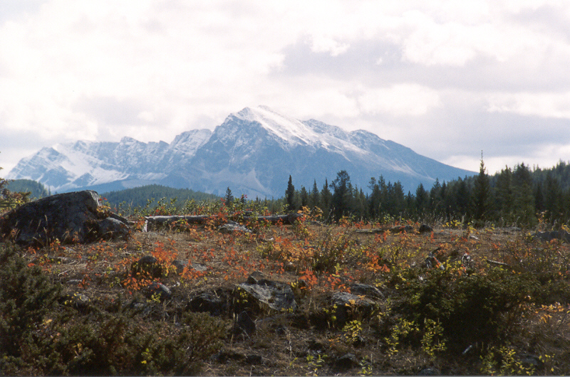 Mount Hardisty