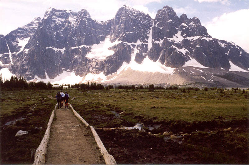 Ramparts, Olson's Camp