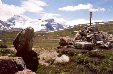 Wilcox Pass, Mount Athabasca