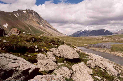 Wilcox Peak and Wilcox Pass