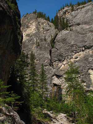 The Forks                