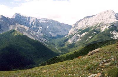 Ribbon Creek Valley