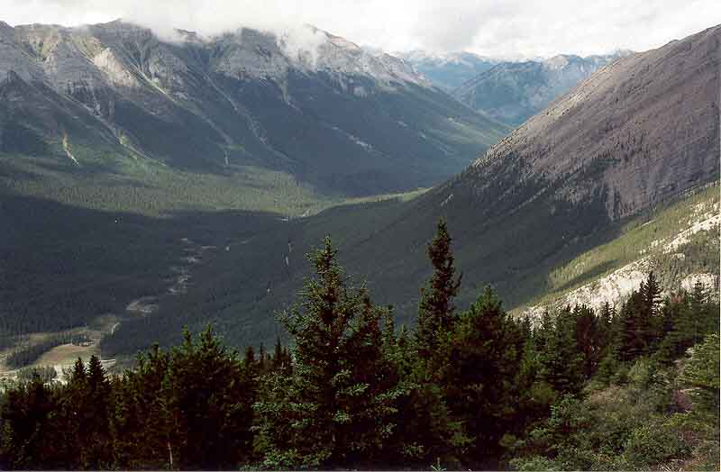 Goat Creek Valley