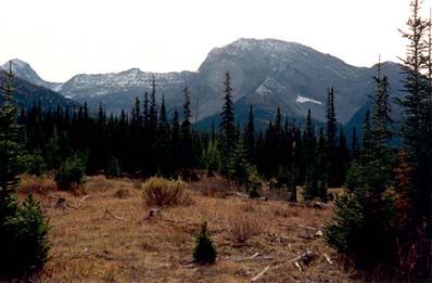 Mount Shark