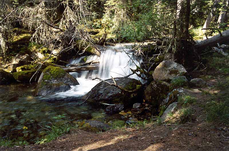 Small Waterfall on Galatea Creek