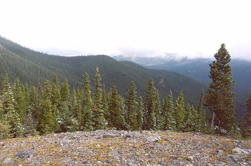 Northeast of Baldy Pass