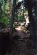 Burstall Pass Trail