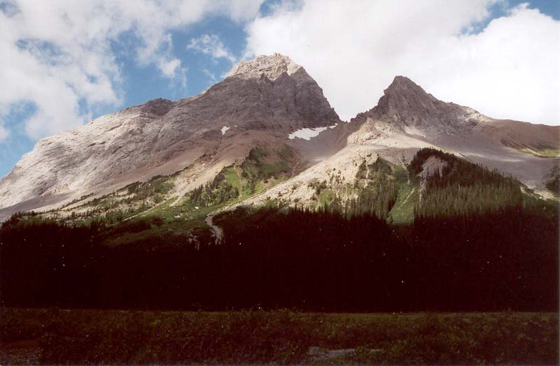 Mount Birdwood and the Pig's Tail