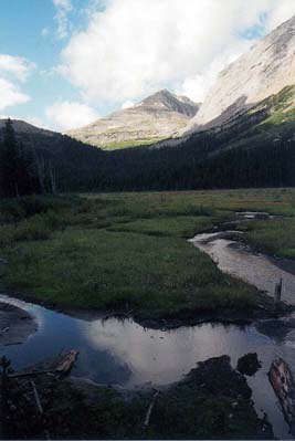 Burstall Creek Flats