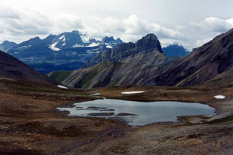 The Royal Group and Onslow Mountain