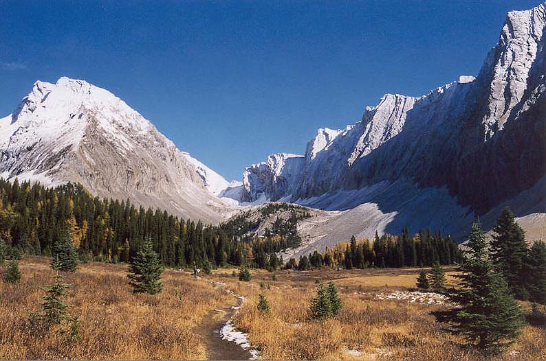 Chester Lake Trail