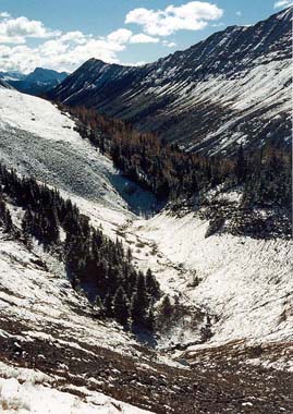 Storm Creek Valley