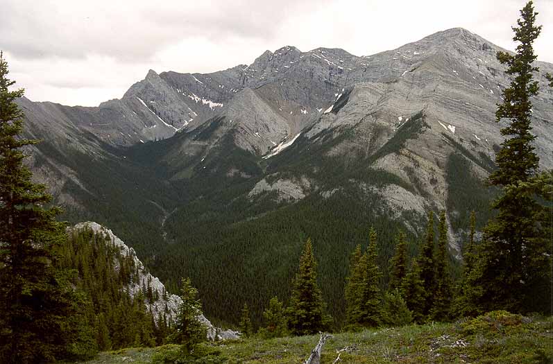 Upper Heart Creek Valley and Mount McGillivray