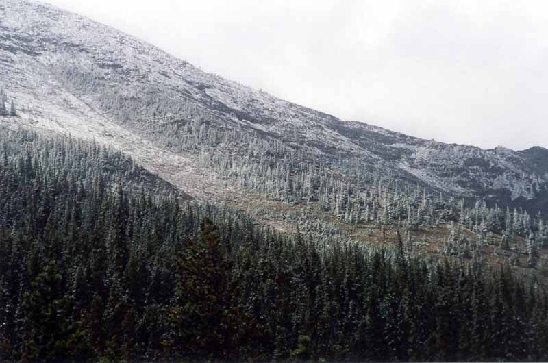 Baldy Pass - View Southwest