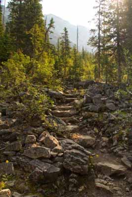 Stone Staircase          