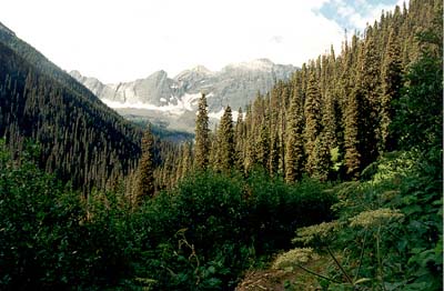 Floe Lake Trail