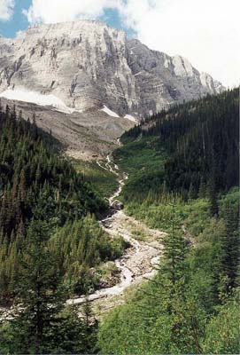 Floe Lake Headwall