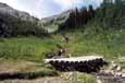 Bridge on Kindersley Pass Trail