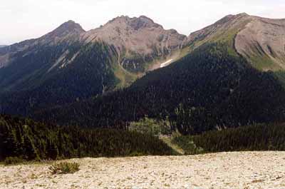 West View from Col