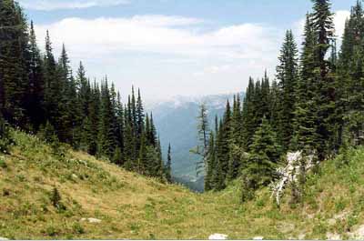 Kindersley Pass