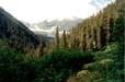 Floe Lake Trail