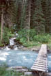 Bridge on Helmet Falls Trail