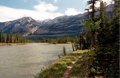 The Athabasca River