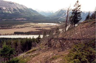 Athabasca and Snaring River Valleys