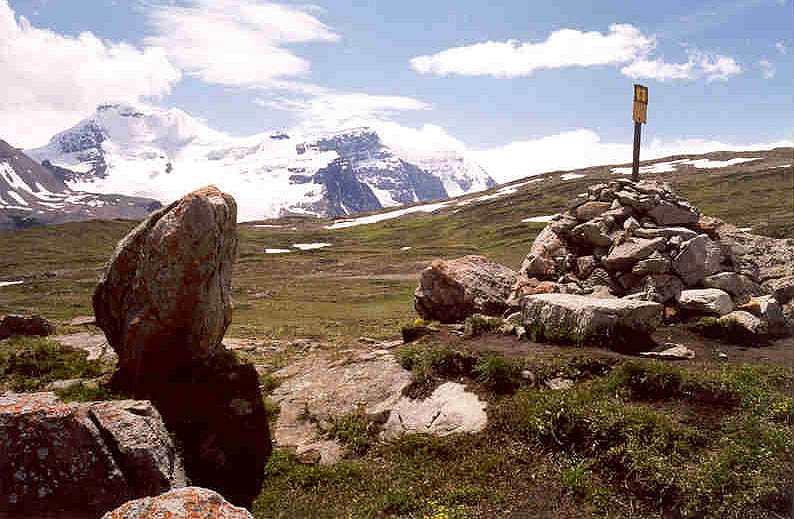 Wilcox Pass, Mount Athabasca