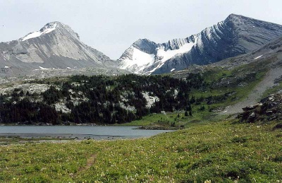 View East from Aster Lake