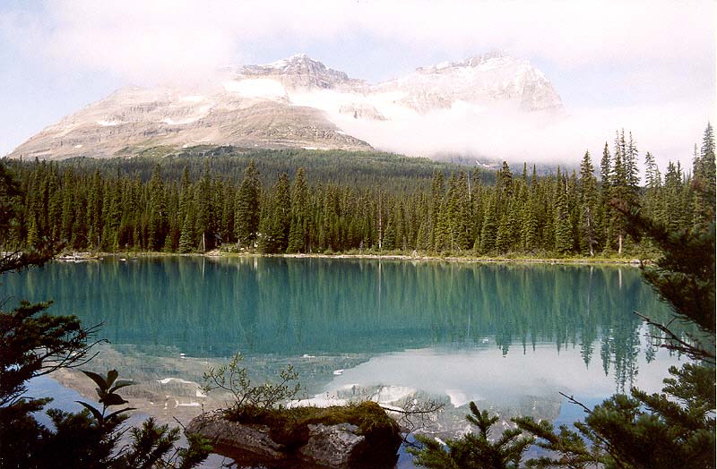 Lake O'Hara and Odaray Mountain